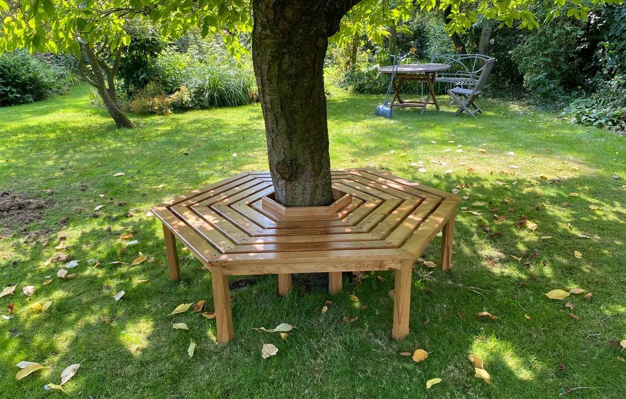 Tree Bench